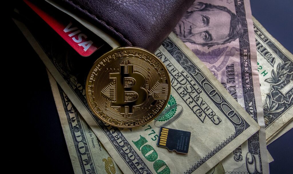 Digital Wallet Trends and Insights