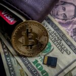 Digital Wallet Trends and Insights