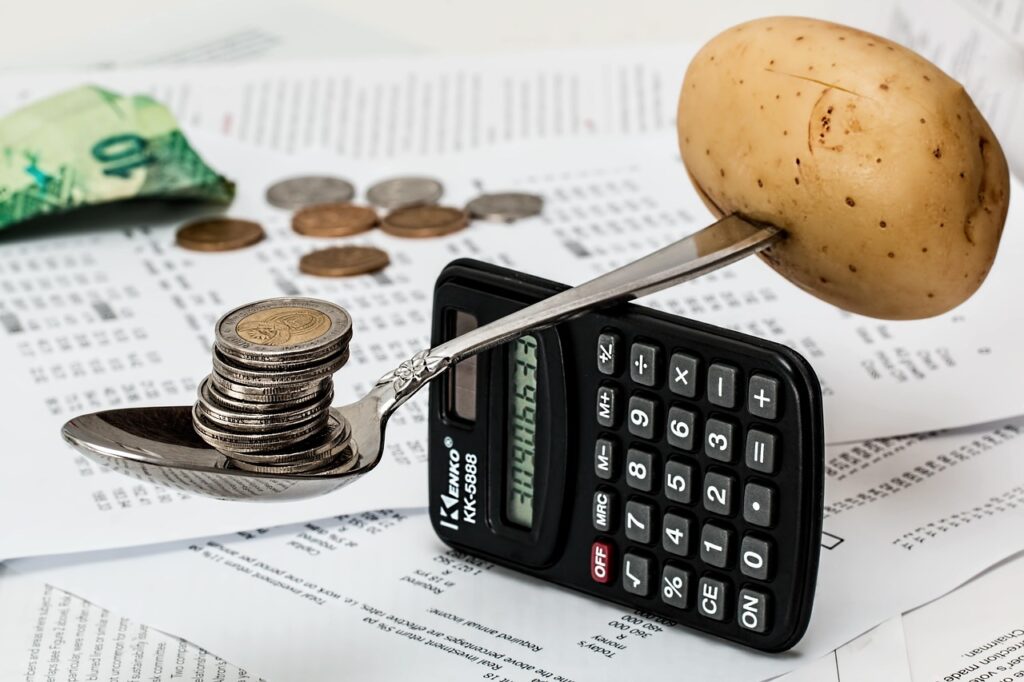 Financial Management: Expert Insights